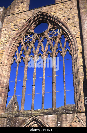 Tintern Abbey Iwest Fenster der zerstörten Kirche Tintern Wye Valley Monmouthshire South Wales UK Stockfoto