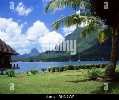 Kapitän Cook's Bay, Moorea, Tahiti, Französisch-Polynesien Stockfoto