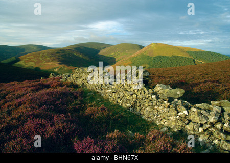 Blick über Glensax in Richtung Hundleshope Höhen, Preston Gesetz und Newby Kipps vom Kailzie-Hügel in der Nähe von Peebles, Scottish Borders Stockfoto