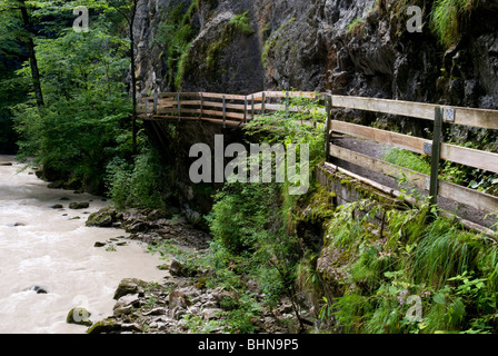 Geographie/Reisen, Österreich, Vorarlberg, Dornbirn, Guetle, Rappenlochschlucht, Additional-Rights - Clearance-Info - Not-Available Stockfoto