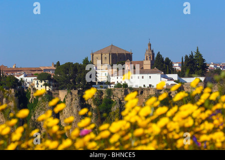 Kirche Santa Maria La Mayor. Ronda. Provinz Málaga, Andalusien, Spanien Stockfoto