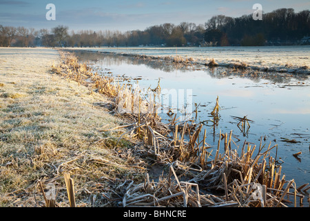 Frost bedeckt Wasser Wiese und Entwässerungsgraben neben der Themse auf einen Winter Dämmerung in der Nähe von Göring, Oxfordshire, Vereinigtes Königreich Stockfoto