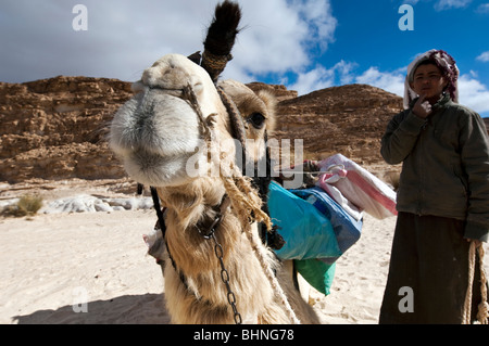 Nomadische Beduinen junge stellt für Kamera mit seinem Kamel an seiner Seite Stockfoto