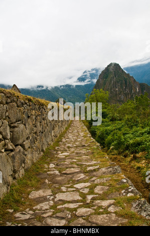 Besuch von Machu Picchu bei Sonnenaufgang, Peru Stockfoto