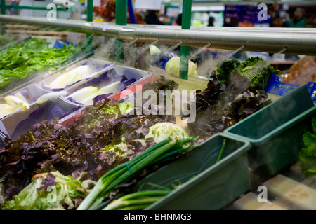 Eine Anzeige der frische Salate und Gemüse / Lebensmittel wird in Wasserdampf für frische, in einem französischen Supermarkt beschlagen. Frankreich. Stockfoto