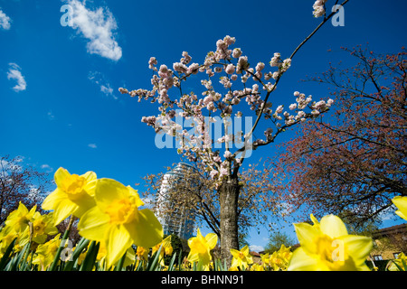 Höhe 25, East Croydon-Luxus-Apartment-Gebäude. Surrey, UK Stockfoto