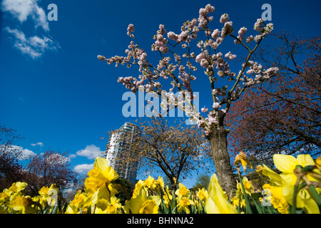 Höhe 25, East Croydon-Luxus-Apartment-Gebäude. Surrey, UK Stockfoto