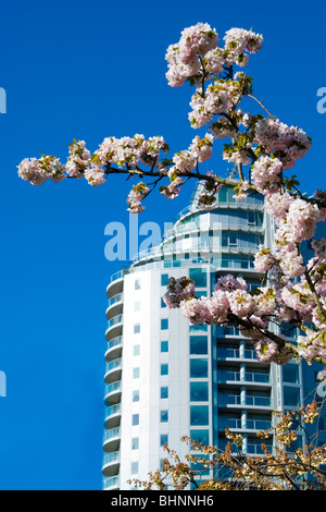 Höhe 25, East Croydon-Luxus-Apartment-Gebäude. Surrey, UK Stockfoto