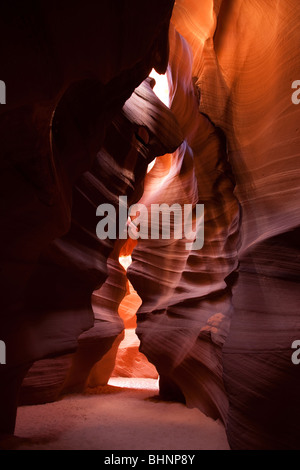 Das helle Sonnenlicht, das in steilen Kurven, roten Felswände des Antelope Canyon, natürliche glatte Felsen von Bodenerosion durch Wasser Arizona USA Stockfoto