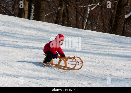 Junge reiten seinen Schlitten bergab im englischen Garten, München, Deutschland Stockfoto