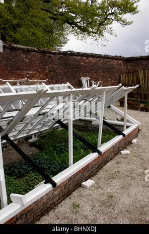 GARTEN KÄLTE IM FRÜHJAHR MIT SÄMLINGE UND JUNGPFLANZEN WACHSEN AUF FRAMES. Stockfoto