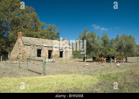 Eine verlassene Bauer sucht Gäste fanden südlich von Adelaide, Fleurieu Peninsula, South Australia Stockfoto