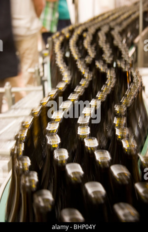 Flaschen Bier auf einem Brauerei-Förderband Stockfoto