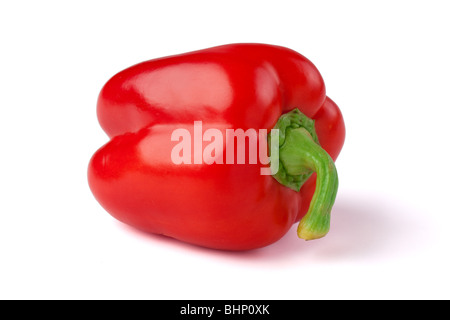 rote Paprika isoliert auf weißem Hintergrund Stockfoto