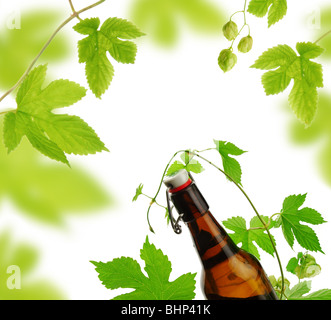 Bierflasche mit Dekoration der Hopfenpflanze auf weißem Hintergrund Stockfoto