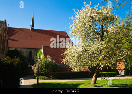 Kloster Heiligkreuz, Altstadt, Rostock, Mecklenburg-Vorpommern Deutschland Stockfoto