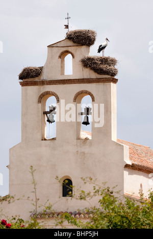 Storch in Nestern am Glockenturm der Kirche in Avila "Kastilien und León" Spanien Stockfoto