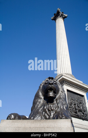 London - Admiral Nelson Column und Löwe - Trafalgar square Stockfoto