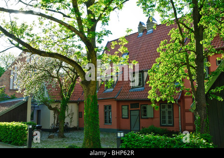 Kloster Heiligkreuz, Altstadt, Rostock, Mecklenburg-Vorpommern Deutschland Stockfoto