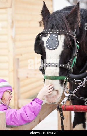 Kleines Mädchen streicheln ein Clydesdale-Pferde. Stockfoto