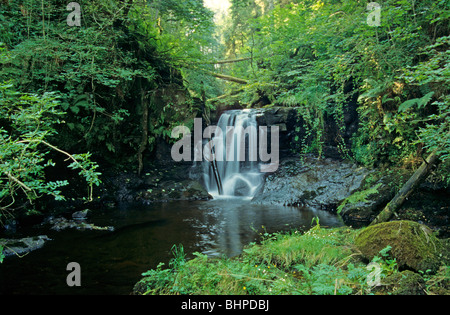 Wasserfall, Glens of Antrim, Co. Antrim, Nordirland Stockfoto