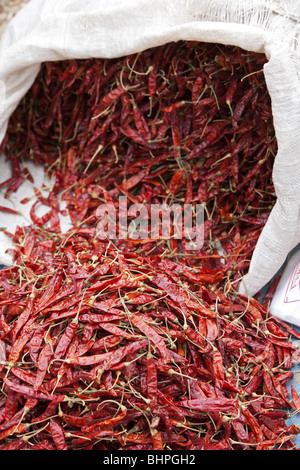 Getrocknete Chili in einer indischen Markt puttaparthi Stockfoto