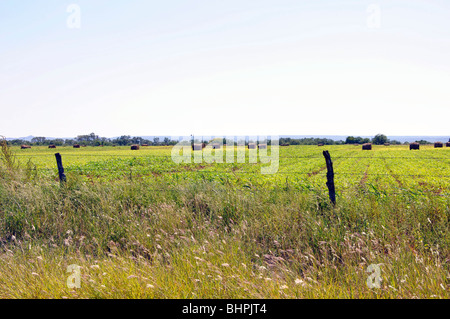 Auf Hochebenen Texas Ranch Stockfoto