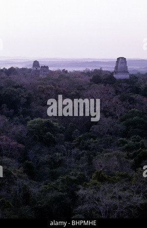 Maya-Tempelruinen bei Sonnenaufgang in der UNESCO-World Heritage Park von Tikal-Tikal National Park, Guatemala Stockfoto