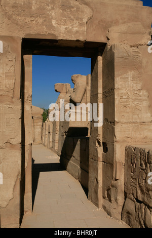 Seiteneingang der Festival Tempel von Thutmose III am Karnak-Tempel in Luxor, Ägypten Stockfoto