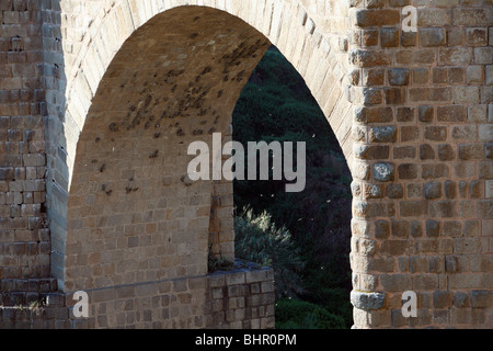 Felsenschwalbe, (Hirundo Rupestris), Verschachtelung Kolonie unter Bogen der Brücke, Extremadura, Spanien Stockfoto