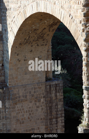 Felsenschwalbe, (Hirundo Rupestris), Verschachtelung Kolonie unter Bogen der Brücke, Extremadura, Spanien Stockfoto