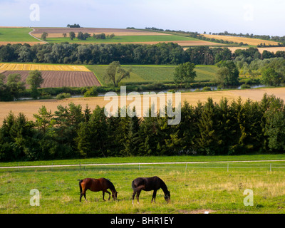 Landschaft in der Nähe von Ehingen Donau, Baden-Württemberg, Deutschland Stockfoto