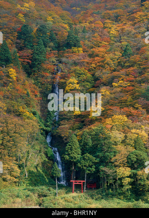 Shiraito fällt, Tozawa, Yamagata, Japan Stockfoto