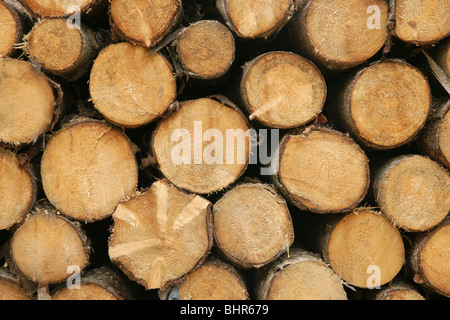 Haufen von Stückholz als Brennstoff Stockfoto