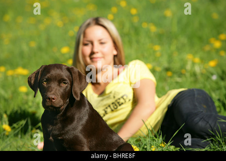 junge Frau und jungen Labrador Retriever Hund Stockfoto