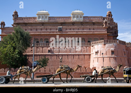 Kamel-Wagen und Junagarh Fort. Bikaner. Rajasthan. Indien Stockfoto