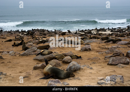 Cape Cross "Cape" Robbenkolonie im Skeleton Coast Park, Namibia Stockfoto