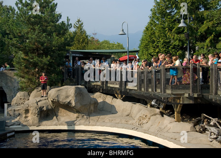 Zuschauer warten auf den Dolphin Show im Aquarium von Vancouver in British Columbia Kanada im Stanley Park. Stockfoto