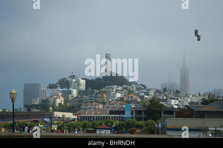 San Francisco Skyline, Coit Tower, Telegraph Hill und Transamerica Pyramide, von Fishermans Wharf Stockfoto