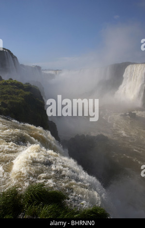 Iguazu Fluss und Iguazu fällt aussehende in Richtung der Teufel Kehle Iguaçu Nationalpark, Parana, Brasilien, Südamerika Stockfoto