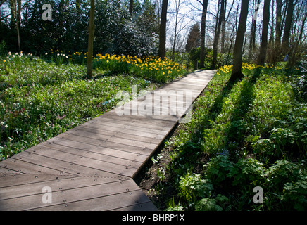 Einer der Gärten an der berühmten Keukenhof Blumenfelder in der Nähe von Amsterdam in den Niederlanden Stockfoto