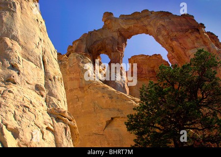 Grosvenor Arch, Grand Staircase Escalante National Monument Utah USA. Frühling Stockfoto