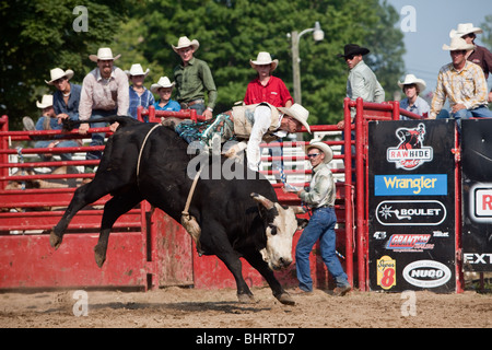 Ein Rodeo Cowboy ist aus einem Stier während der Bullenreiten Wettbewerb auf Neukaledonien, Ontario Rodeo bockte. Stockfoto