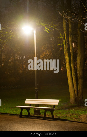 Parkbank in der Nacht, Lnatern, Park, Kurpark, Wiesbaden, Hessen, Deutschland Stockfoto