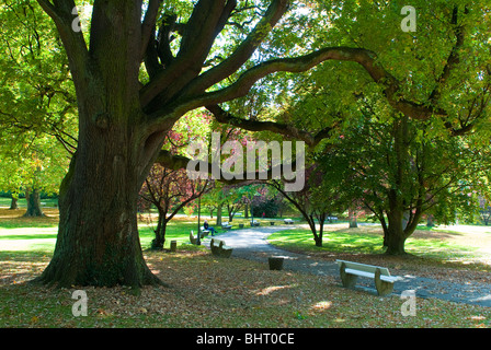 Kurpark, Wiesbaden, Hessen, Deutschland | Kurpark, Wiesbaden, Hessen, Deutschland Stockfoto