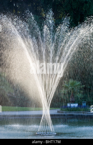 Palmengarten, Botanischer Garten in Frankfurt am Main, Palmblättern, Deutschland Stockfoto