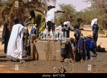 Akadaney, zentralen Niger, Westafrika. Fulani Nomaden am Brunnen. Jährliche Zusammenkunft, die Gerewol. Stockfoto