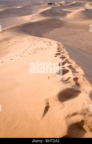 Spuren in den Dünen von Tinfou in den Fluss Draa-Tal, südlich von Tamegroute, Marokko Stockfoto