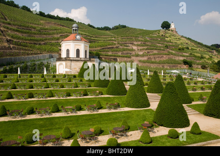 Schloss Wackerbarth, Vinothek, Garten mit Belvedere und Weinberge in Radebeul in der Nähe von Dresden, Deutschland Stockfoto