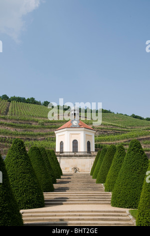 Schloss Wackerbarth, Vinothek, Garten mit Belvedere und Weinberge in Radebeul in der Nähe von Dresden, Deutschland Stockfoto